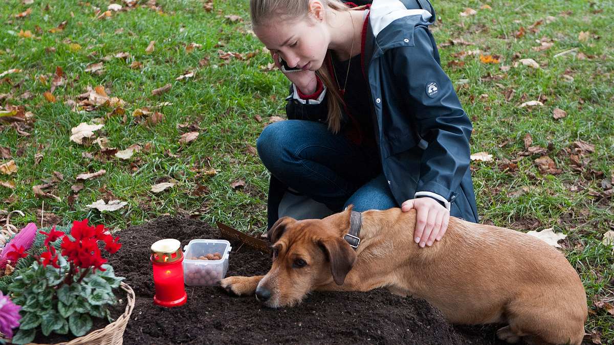 tiere bis unters dach