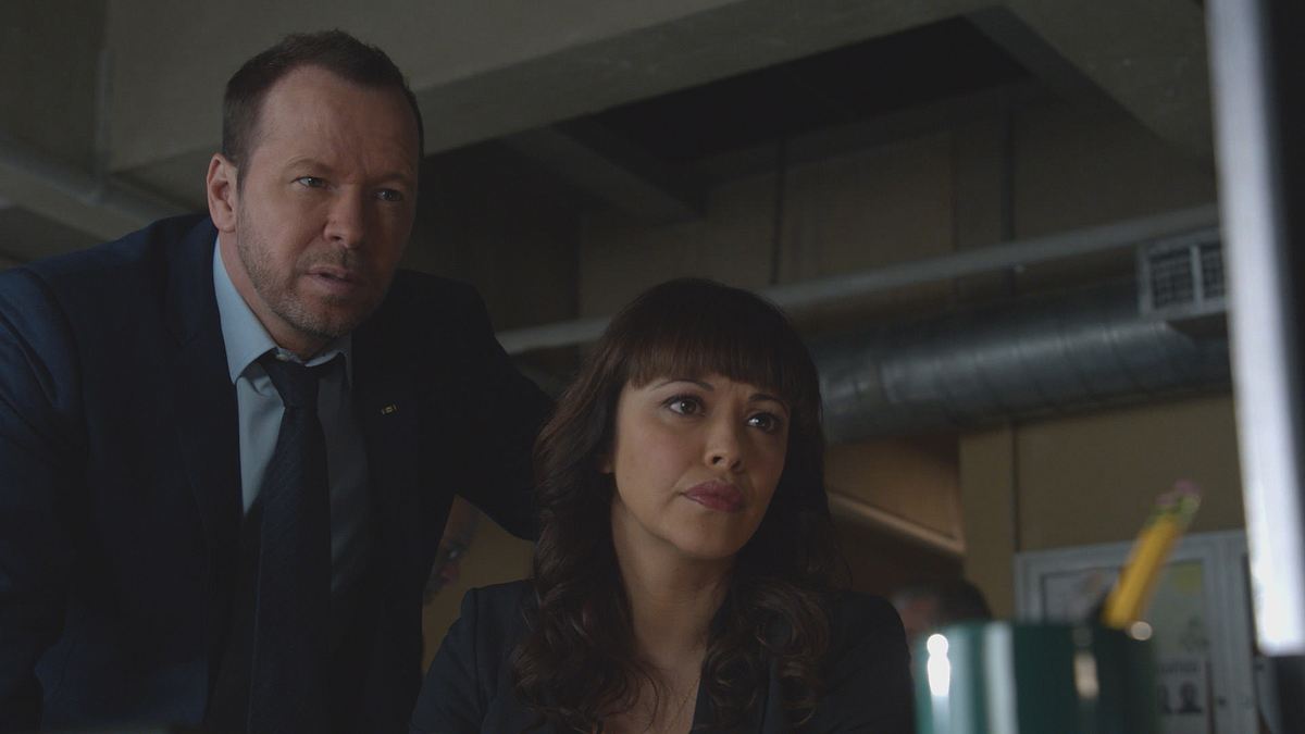 blue bloods - crime scene new york
