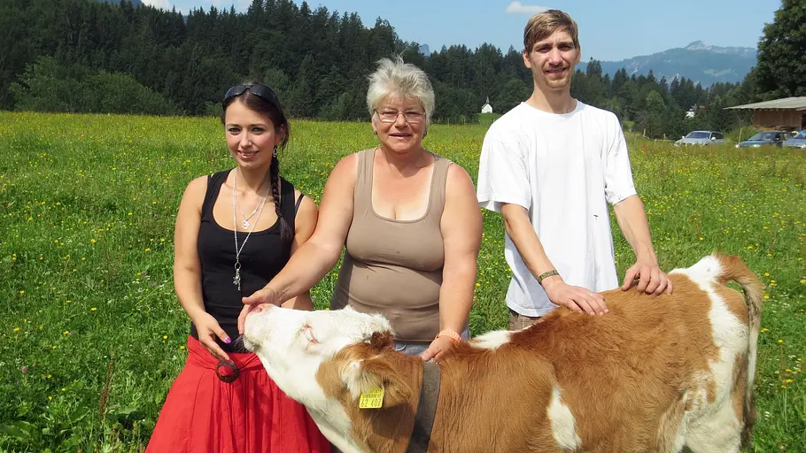 Der Trödeltrupp - Das Geld liegt im Keller der trödeltrupp - das geld liegt im keller