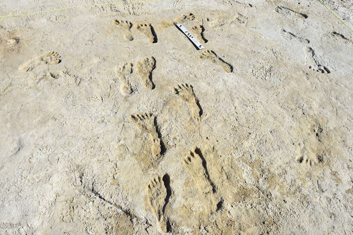 Das Rätsel von White Sands: Auf den Spuren der ersten Nordamerikaner das rätsel von white sands: auf den spuren der ersten nordamerikaner
