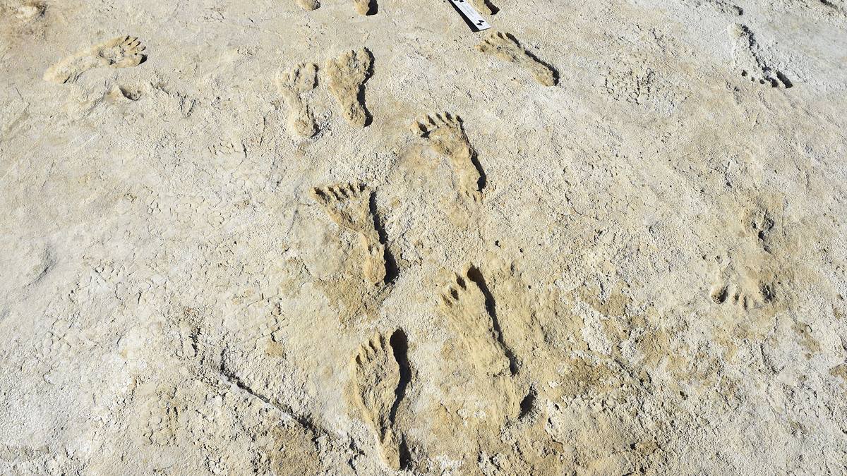 das rätsel von white sands: auf den spuren der ersten nordamerikaner