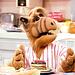 Alf Thumbnail