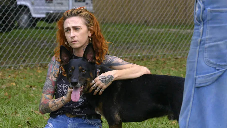 Pitbulls auf Bewährung pitbulls auf bewährung