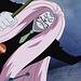 One Piece Thumbnail