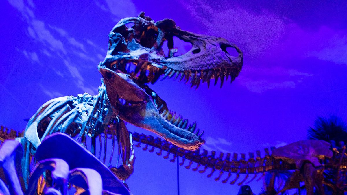 t-rex: ultimate survivor