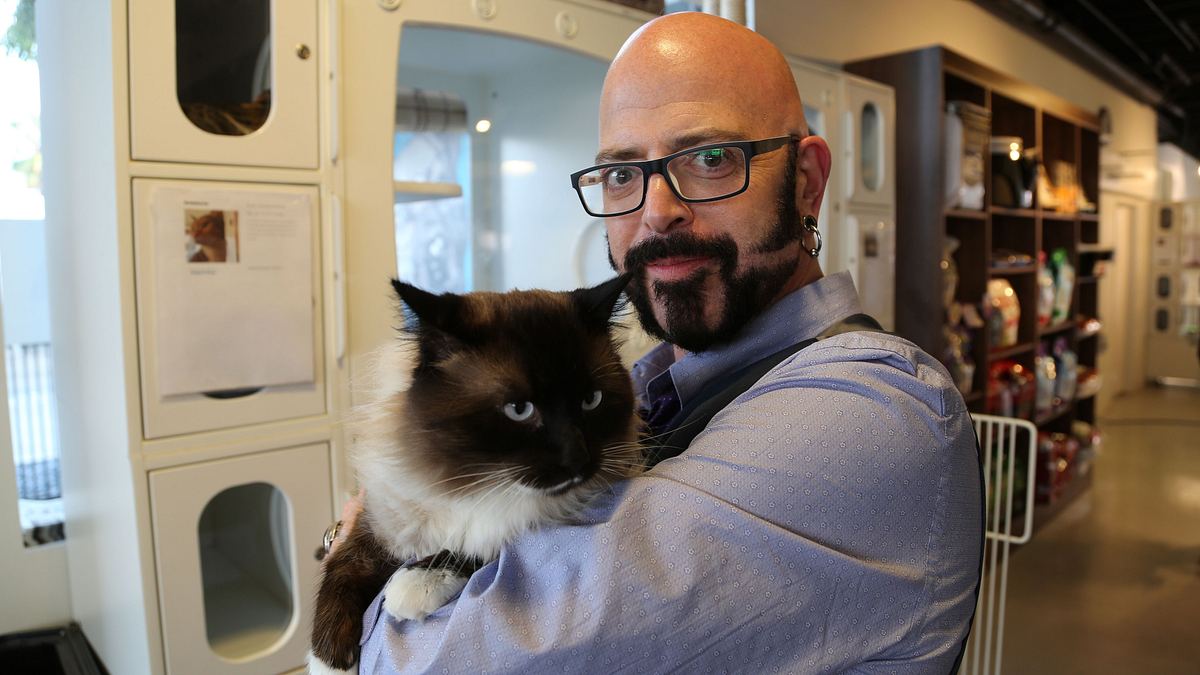 der katzenflüsterer