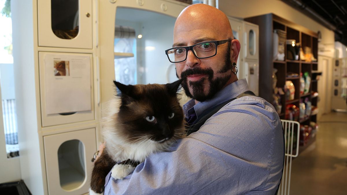 Der Katzenflüsterer der katzenflüsterer