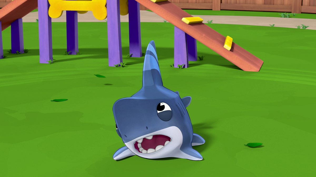 sharkdog