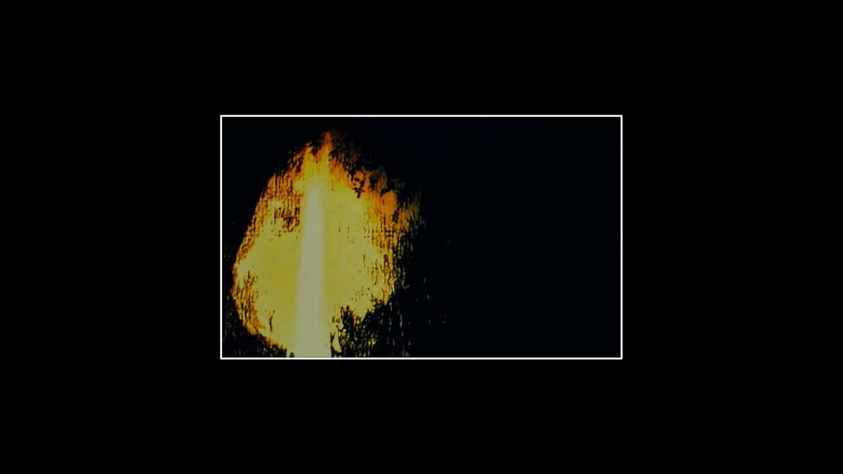 minari - wo wir wurzeln schlagen