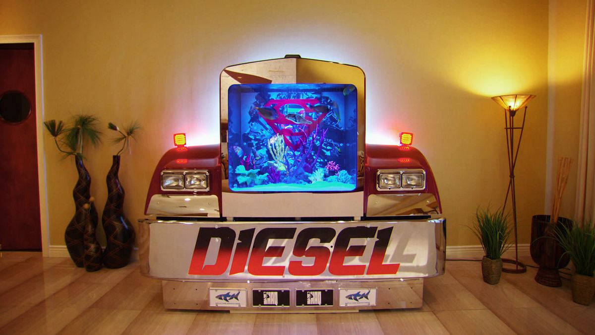 die aquarium-profis