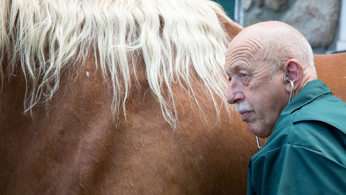 der unglaubliche dr. pol