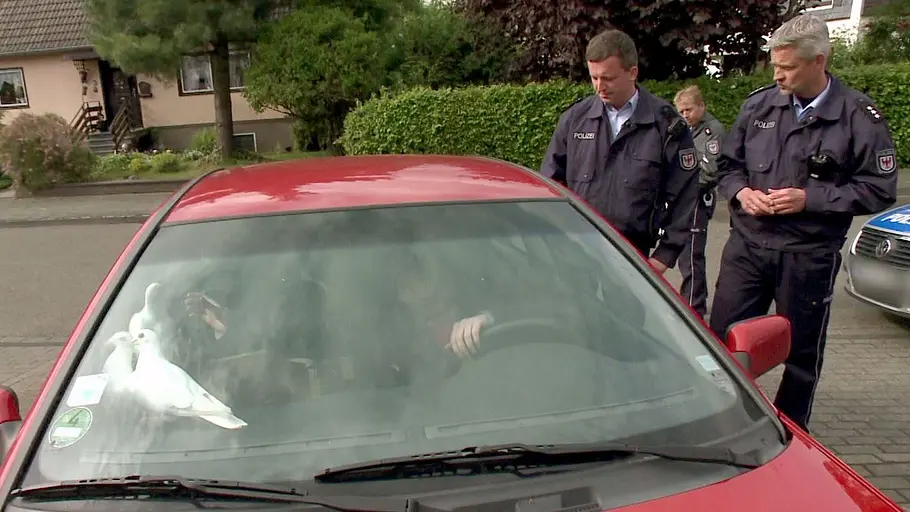Schneller als die Polizei erlaubt schneller als die polizei erlaubt
