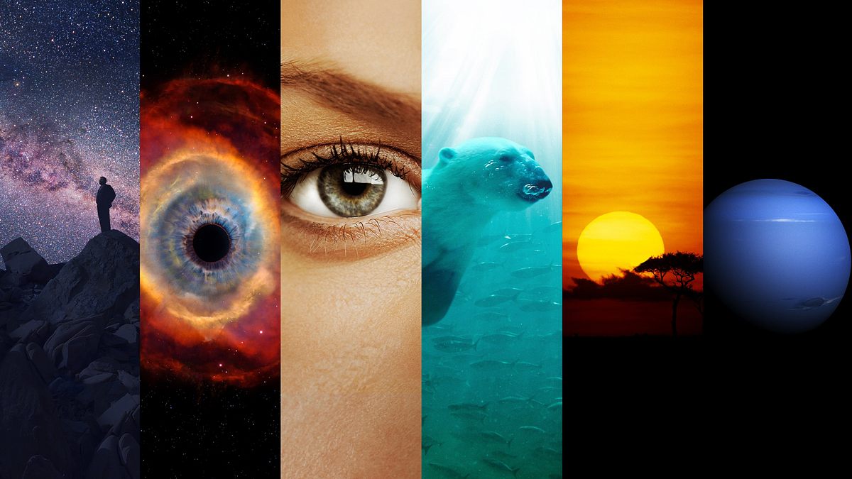 Unser Kosmos: Die Reise geht weiter Unser Kosmos: Die Reise geht weiter