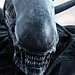 Alien: Covenant Thumbnail