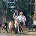 The Asher House - Eine neue Chance für Tiere Thumbnail