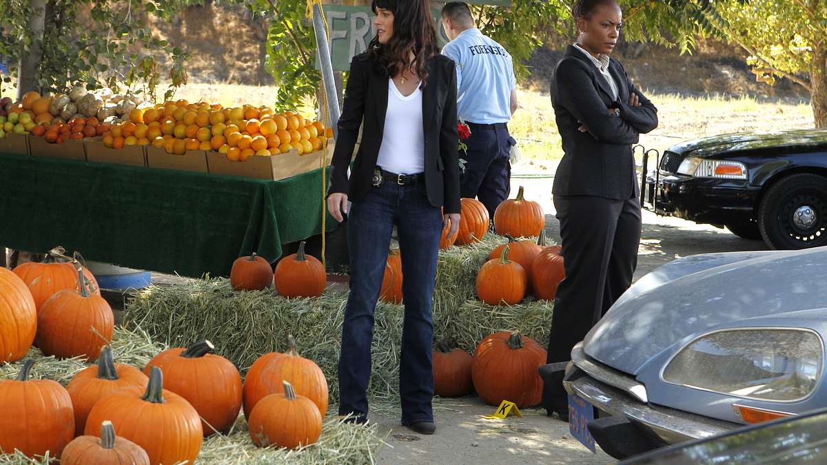 the mentalist