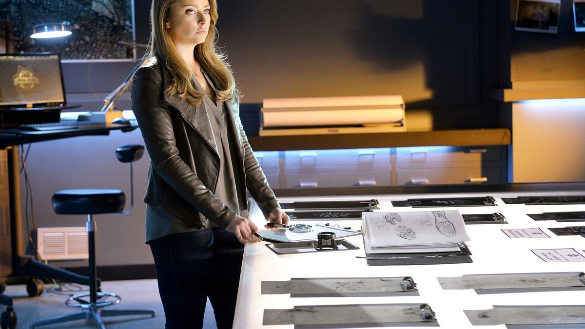 csi: den tätern auf der spur