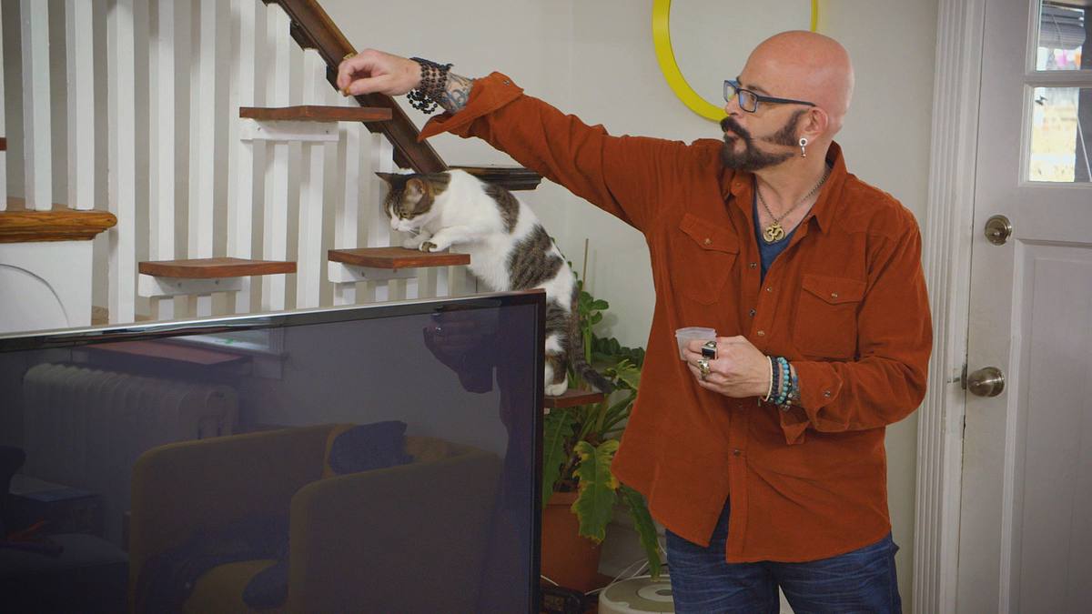 der katzenflüsterer