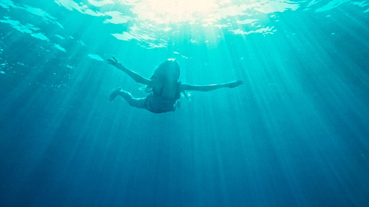der sommer, als ich fliegen lernte