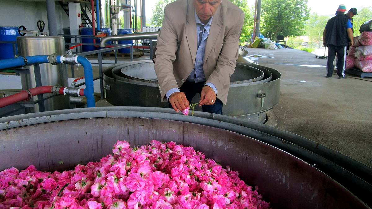 im tal der rosen - bulgariens blühender schatz