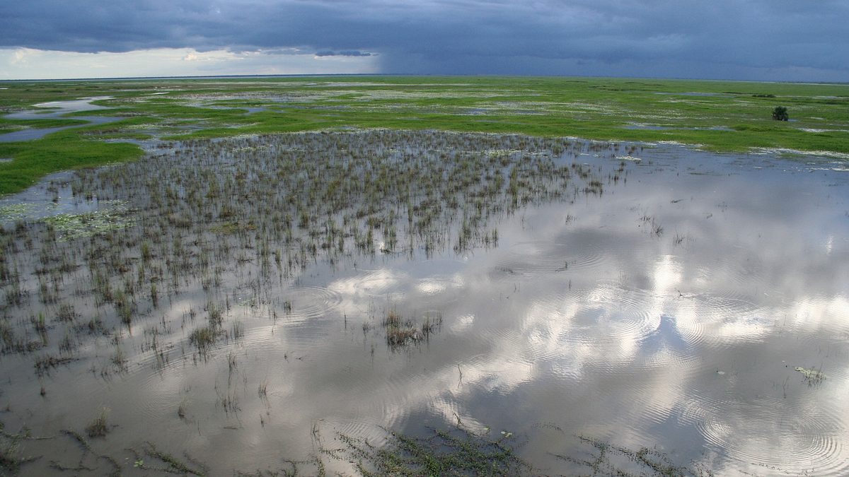gorongosa: ein paradies kehrt zurück