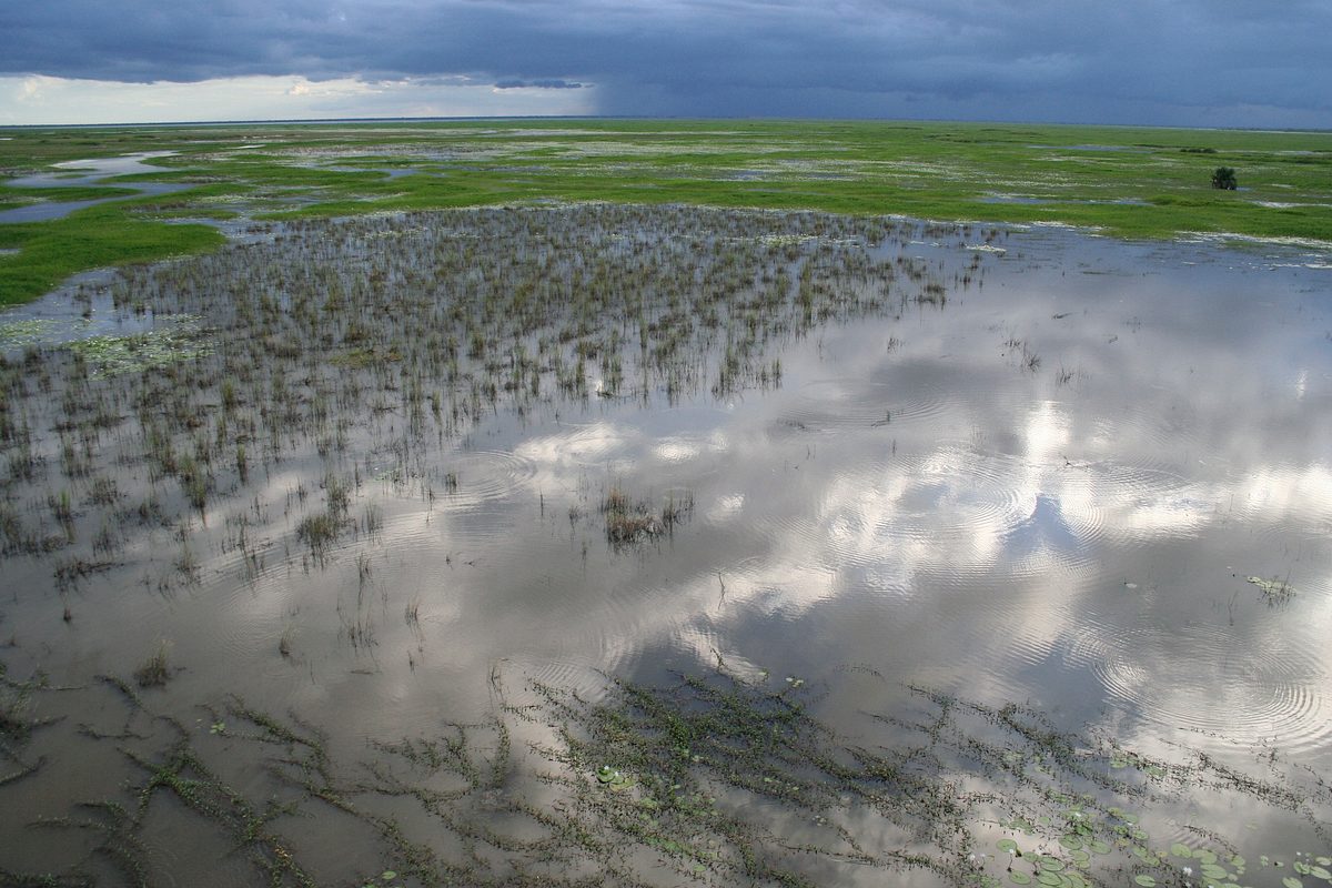Gorongosa: Ein Paradies kehrt zurück gorongosa: ein paradies kehrt zurück