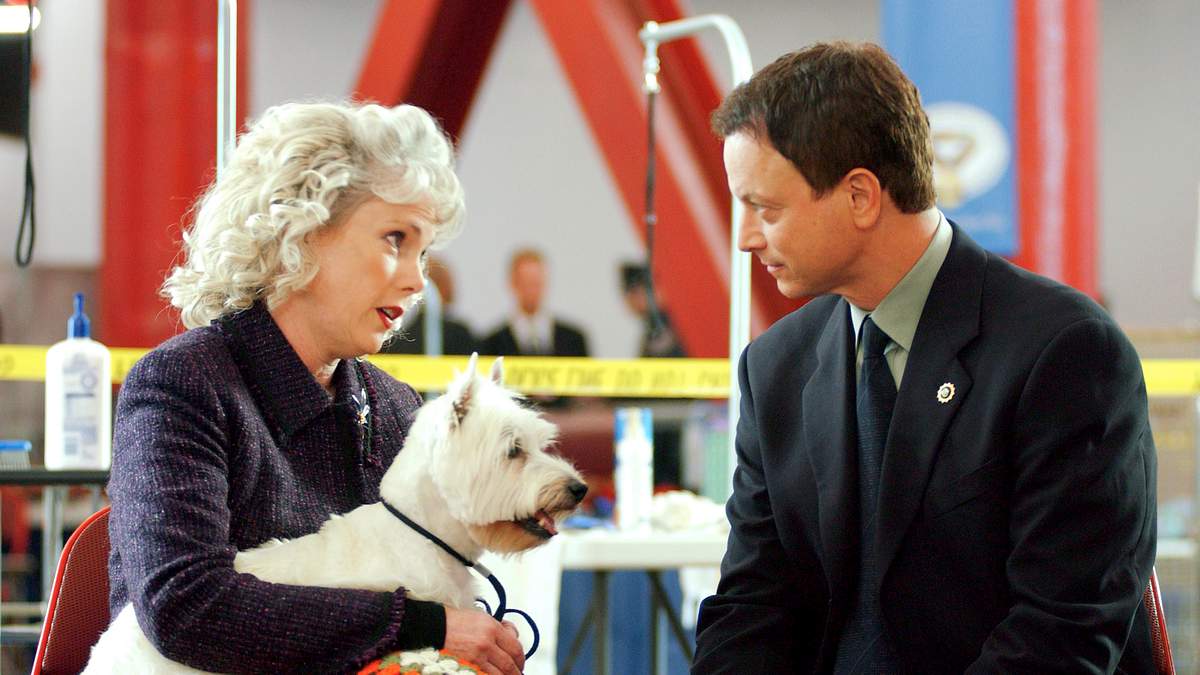 csi: ny