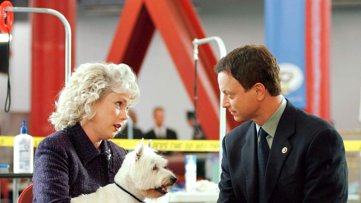csi: ny