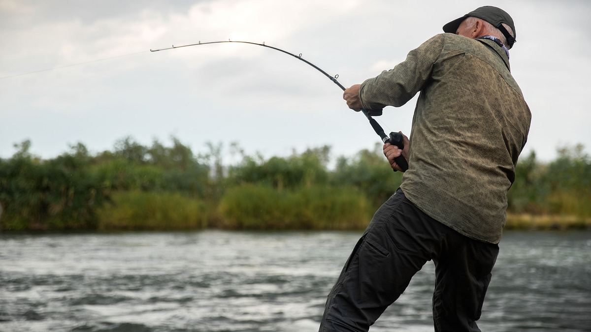 dark waters mit jeremy wade