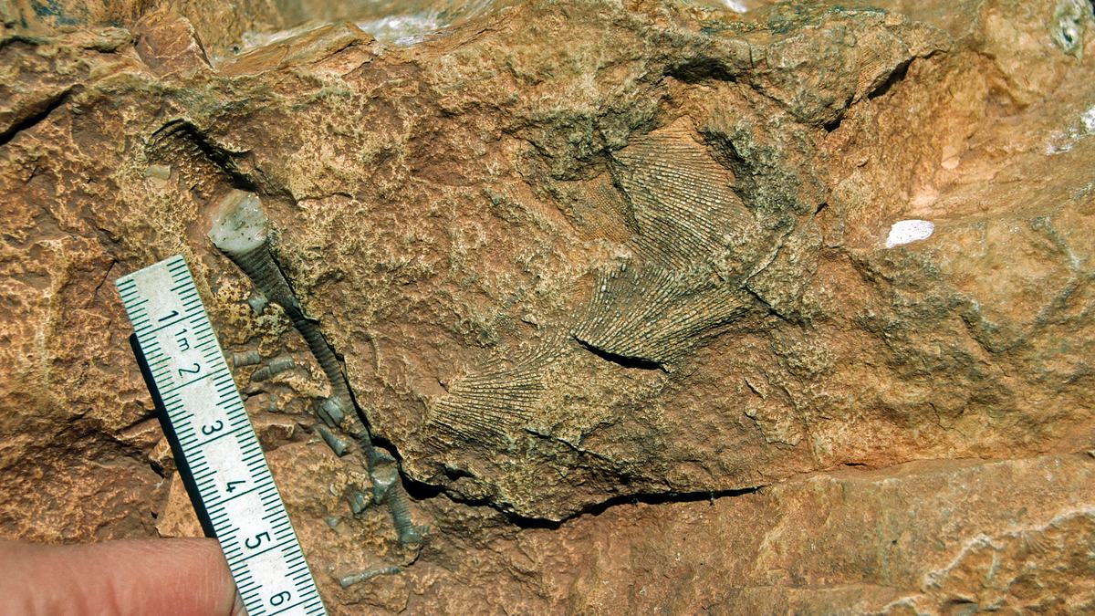 ancient aliens - unerklärliche phänomene