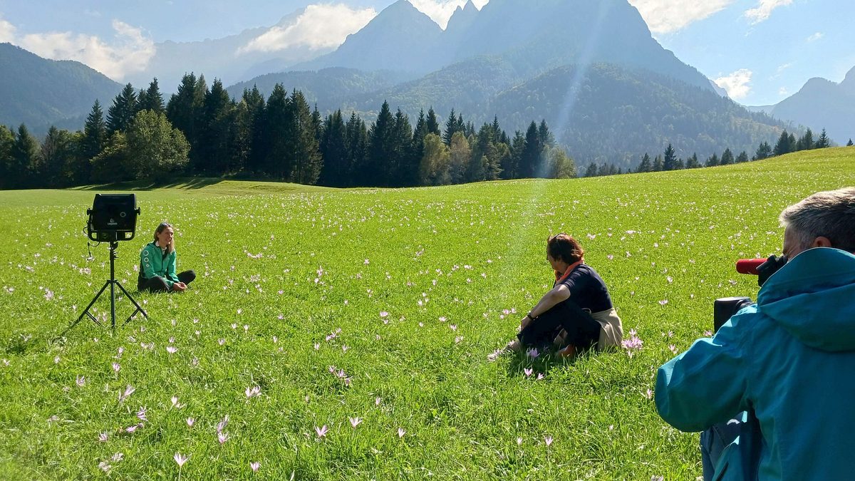 unterwegs beim nachbarn
