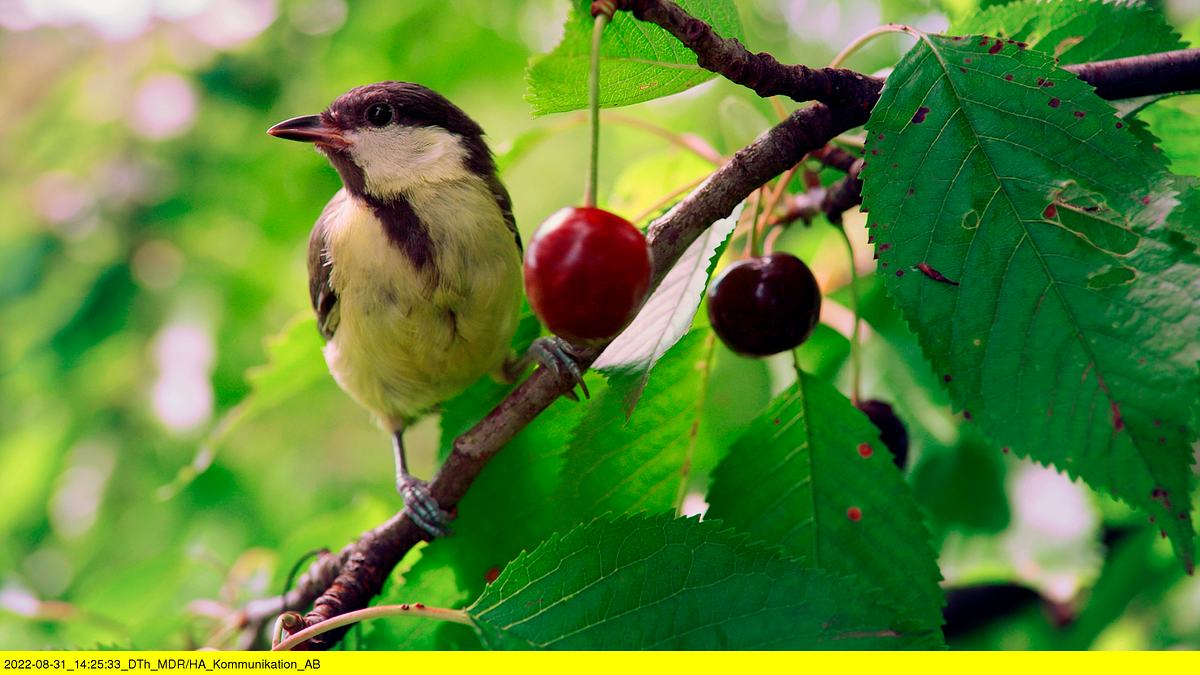 abenteuer wildnis