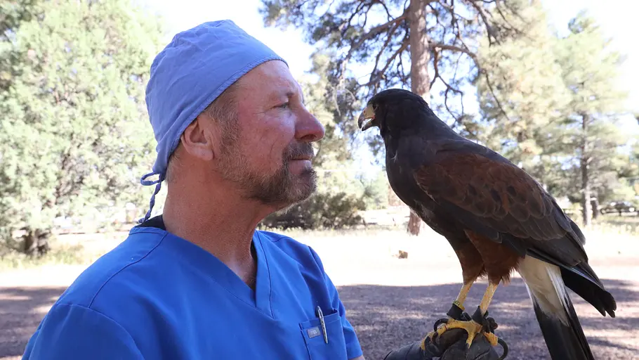 Dr. Ole: Tierarzt im Einsatz dr. ole: tierarzt im einsatz