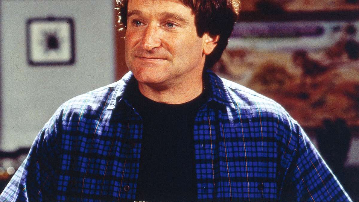 mrs. doubtfire - das stachelige kindermädchen