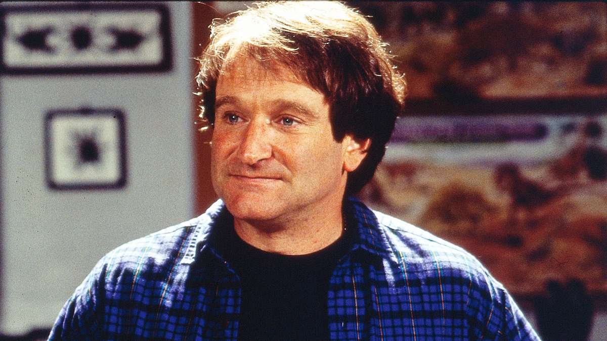 mrs. doubtfire - das stachelige kindermädchen
