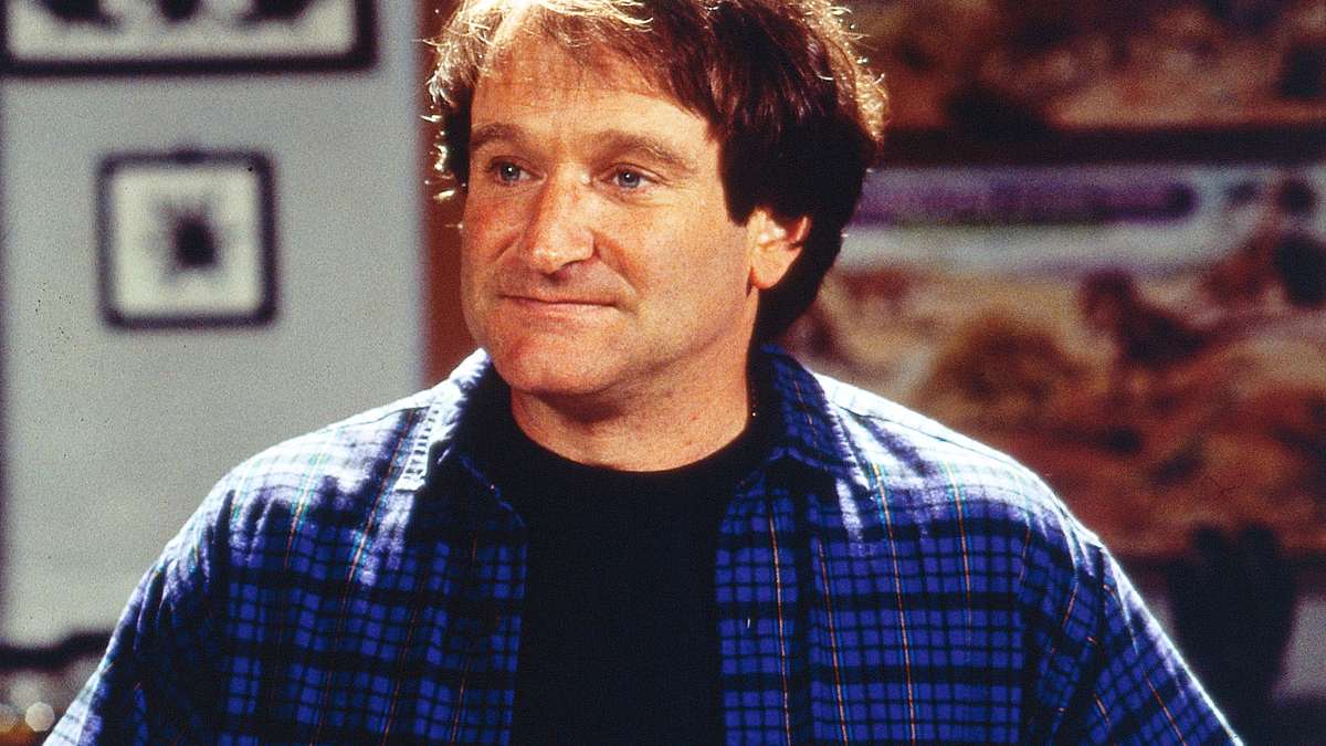 mrs. doubtfire - das stachelige kindermädchen