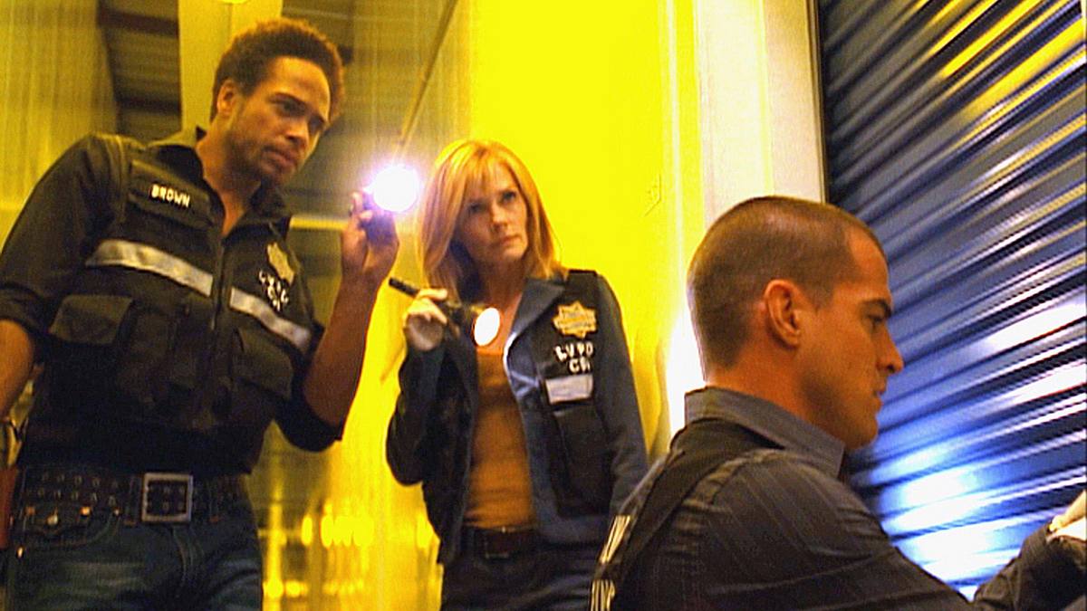 csi: den tätern auf der spur