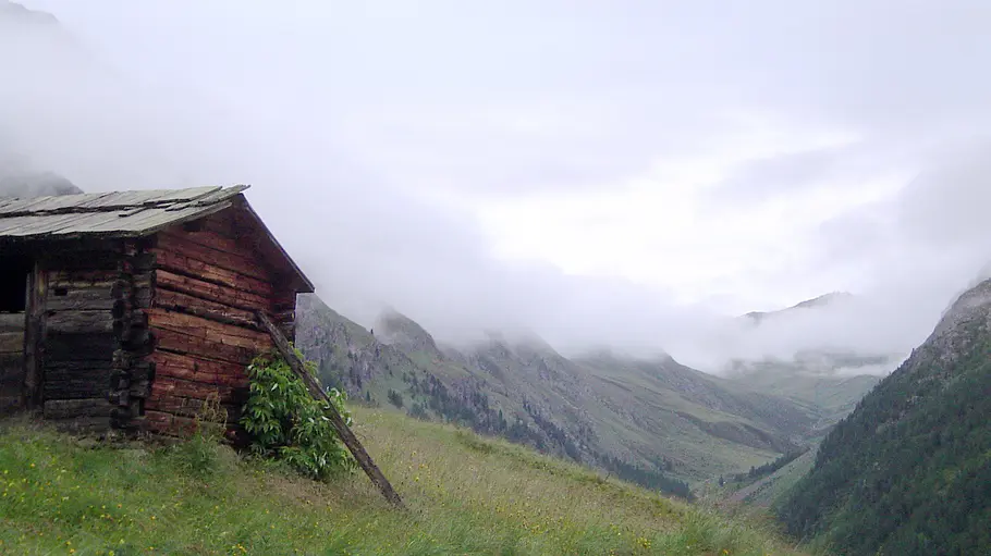 3satThementag: Alpenleben / Universum 3satthementag: alpenleben / universum