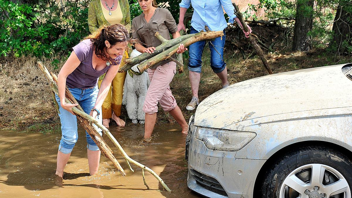die dienstagsfrauen - zwischen kraut und rüben