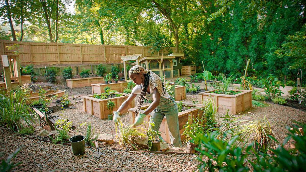 homegrown - aus liebe zum garten