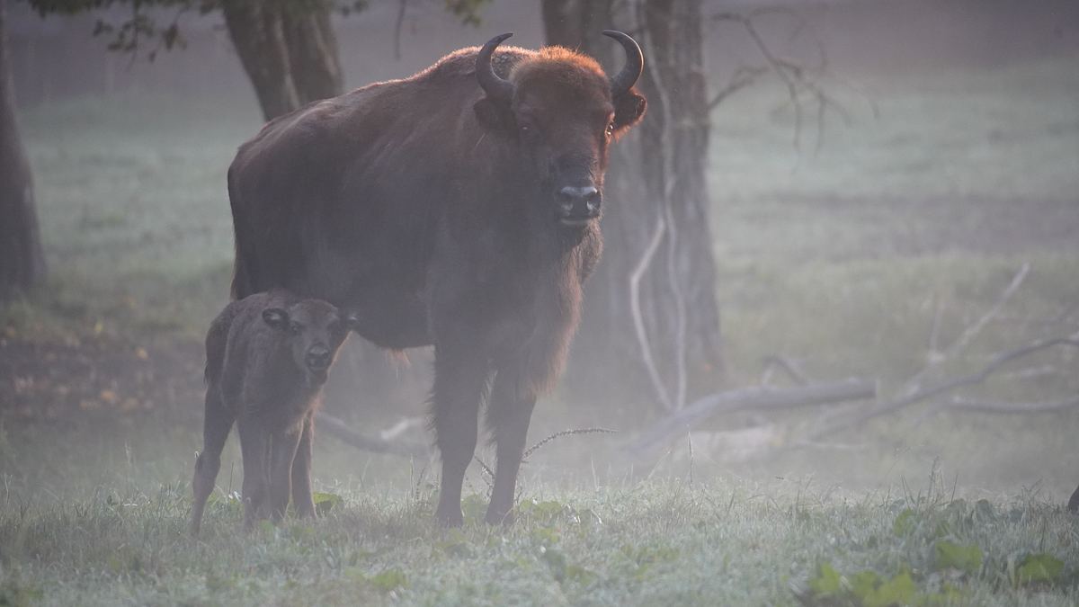 europas verborgene naturwunder