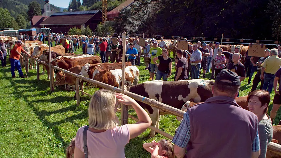 heimat österreich