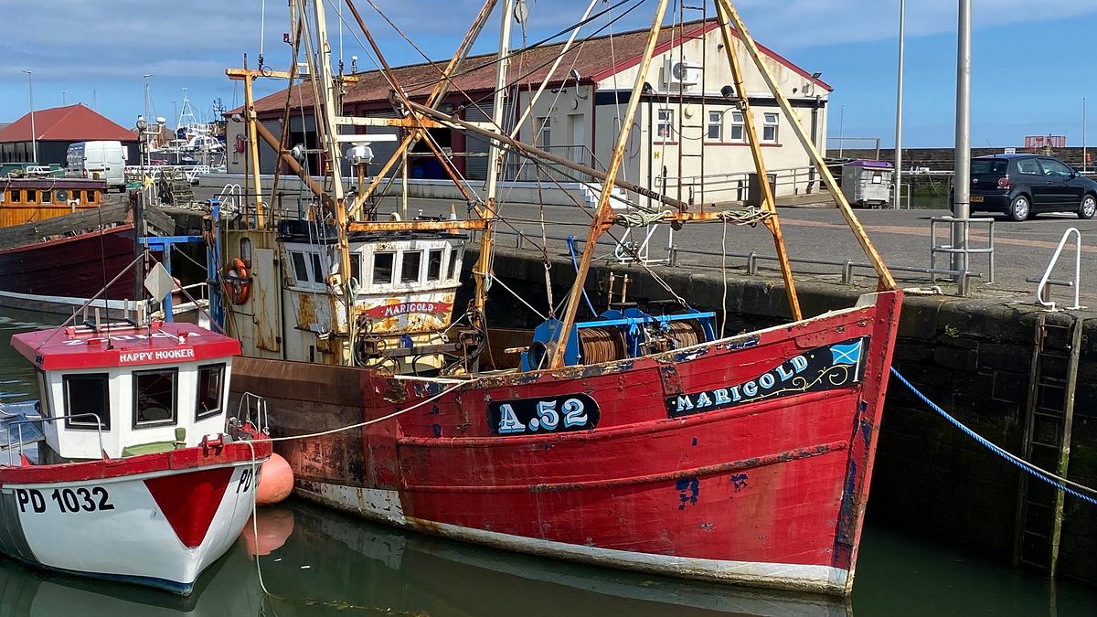 Leben an der Nordsee leben an der nordsee