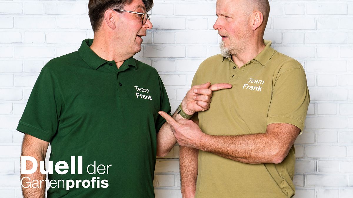 duell der gartenprofis