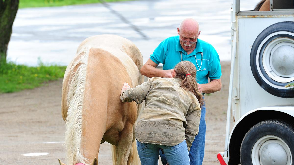 der unglaubliche dr. pol