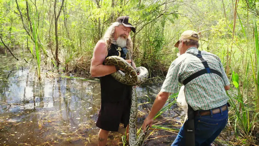 Die Pythonjäger - Einsatz in den Everglades die pythonjäger - einsatz in den everglades
