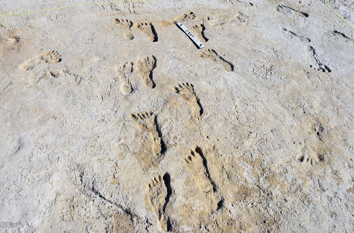 Das Rätsel von White Sands: Auf den Spuren der ersten Nordamerikaner das rätsel von white sands: auf den spuren der ersten nordamerikaner