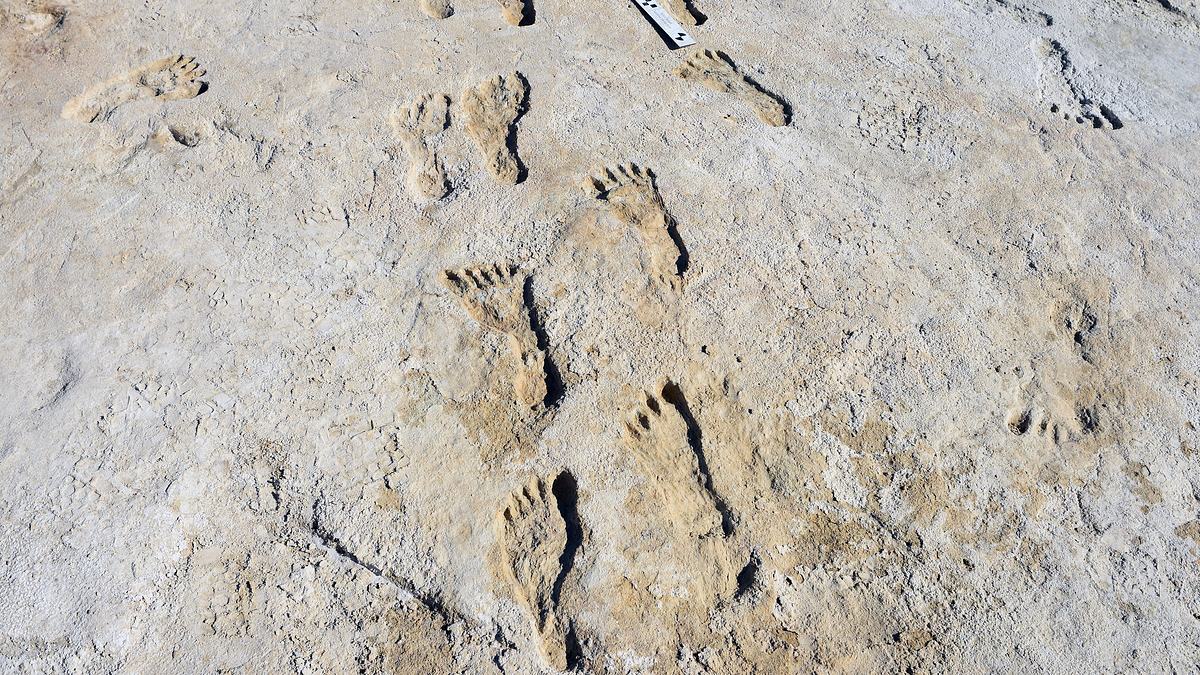 das rätsel von white sands: auf den spuren der ersten nordamerikaner