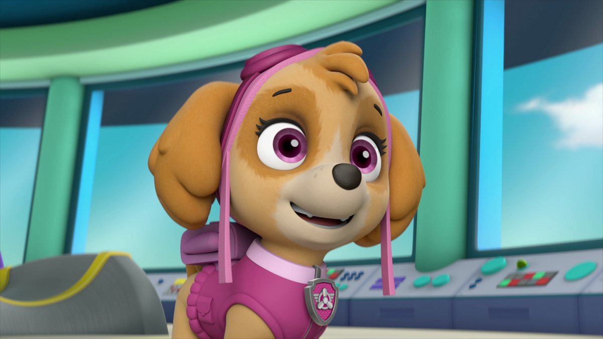 paw patrol - helfer auf vier pfoten