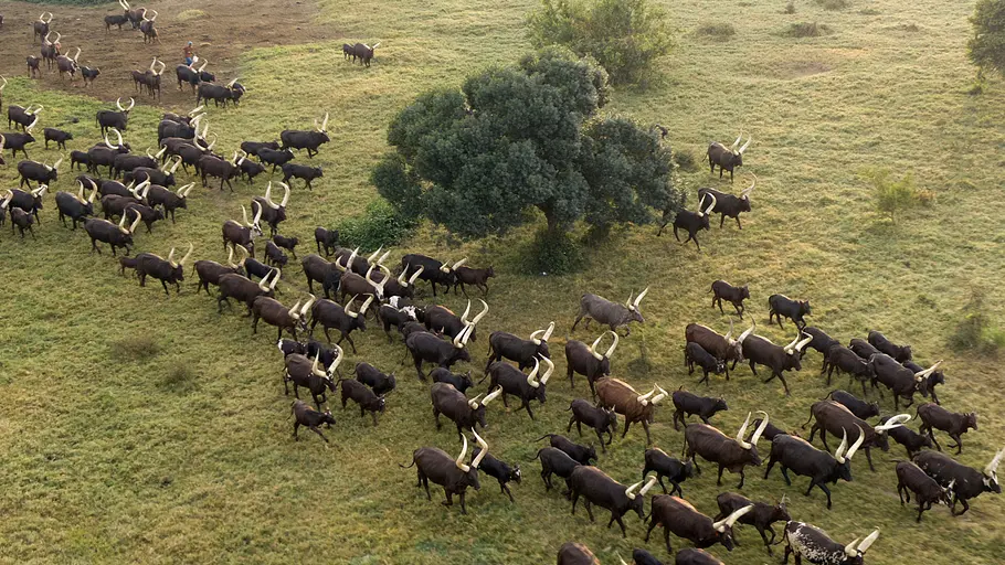 afrika von oben